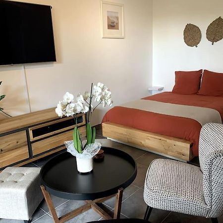 Grand Studio Avec Coin Nuit, Proche Mer Et Montagnes Roquebrune-sur Argens Bagian luar foto
