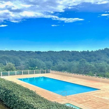 Grand Studio Avec Coin Nuit, Proche Mer Et Montagnes Roquebrune-sur Argens Bagian luar foto